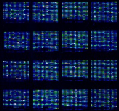 shutterstock 615811.jpg